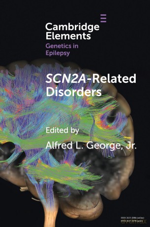 SCN2A-Related Disorders (Elements in Genetics in Epilepsy) - Megan Abbott [KSIĄŻKA]