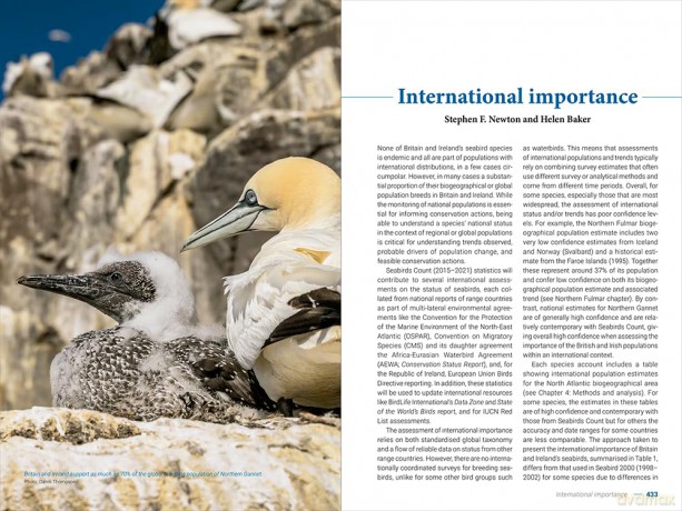 Seabirds Count. A census of breeding seabirds in Britain and Ireland (2015-2021) - Daisy Burnell [KSIĄŻKA]