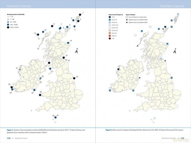 Seabirds Count. A census of breeding seabirds in Britain and Ireland (2015-2021) - Daisy Burnell [KSIĄŻKA]