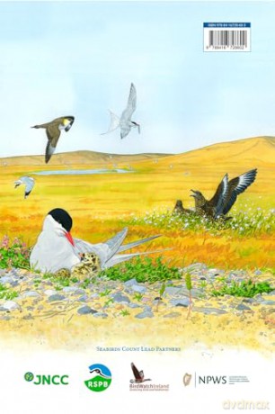 Seabirds Count. A census of breeding seabirds in Britain and Ireland (2015-2021) - Daisy Burnell [KSIĄŻKA]