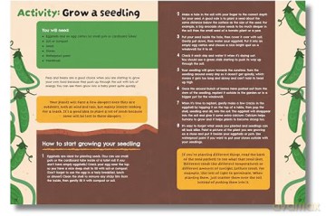 Seed to Supper: The Journey of Your Food from the Ground Up - Michelle Darmody [KSIĄŻKA]