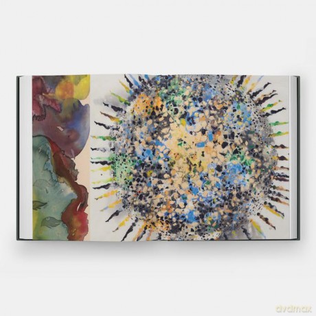 Shahzia Sikander: Collective Behavior - Ainsley M. Cameron [KSIĄŻKA]