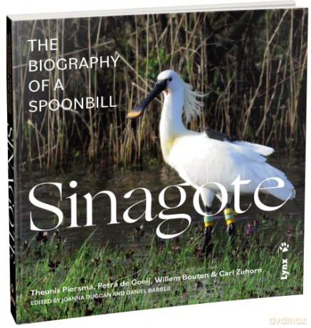 Sinagote, the biography of a spoonbill - Theunis Piersma [KSIĄŻKA]