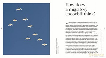 Sinagote, the biography of a spoonbill - Theunis Piersma [KSIĄŻKA]
