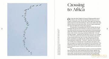 Sinagote, the biography of a spoonbill - Theunis Piersma [KSIĄŻKA]