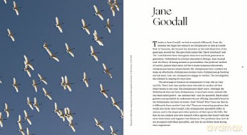 Sinagote, the biography of a spoonbill - Theunis Piersma [KSIĄŻKA]