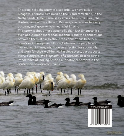Sinagote, the biography of a spoonbill - Theunis Piersma [KSIĄŻKA]