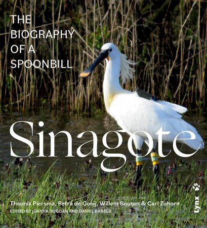 Sinagote, the biography of a spoonbill - Theunis Piersma [KSIĄŻKA]