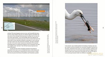 Sinagote, the biography of a spoonbill - Theunis Piersma [KSIĄŻKA]