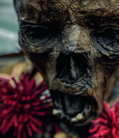 Sinister and Spiritual Post-Mortem Fairy Tales - Mothmeister [KSIĄŻKA]