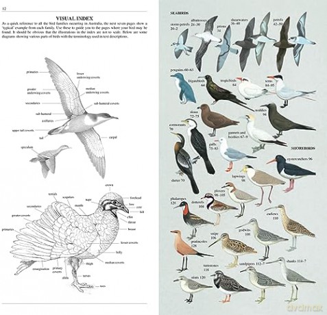 Slater Field Guide to Australian Birds: Third edition - Peter Slater [KSIĄŻKA]