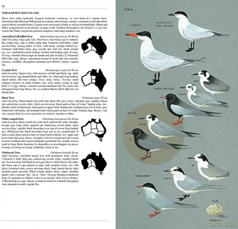 Slater Field Guide to Australian Birds: Third edition - Peter Slater [KSIĄŻKA]