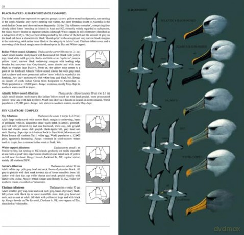 Slater Field Guide to Australian Birds: Third edition - Peter Slater [KSIĄŻKA]