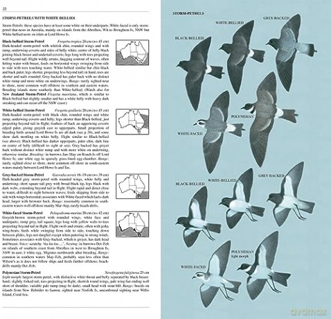 Slater Field Guide to Australian Birds: Third edition - Peter Slater [KSIĄŻKA]