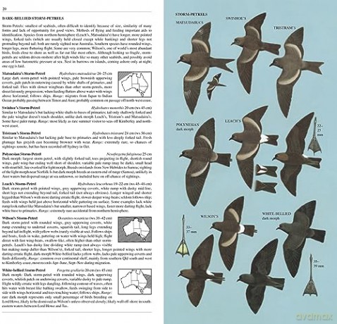 Slater Field Guide to Australian Birds: Third edition - Peter Slater [KSIĄŻKA]