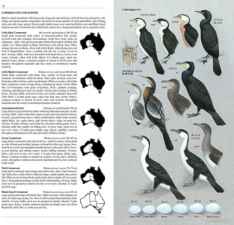 Slater Field Guide to Australian Birds: Third edition - Peter Slater [KSIĄŻKA]