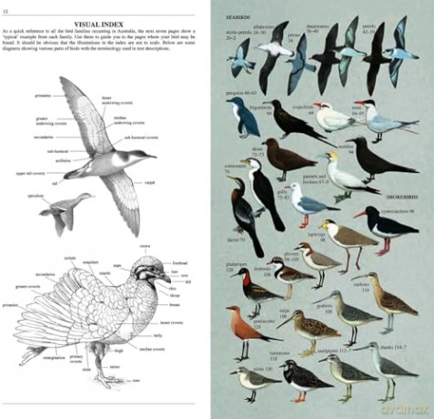 Slater Field Guide to Australian Birds: Third edition - Peter Slater [KSIĄŻKA]