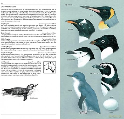 Slater Field Guide to Australian Birds: Third edition - Peter Slater [KSIĄŻKA]