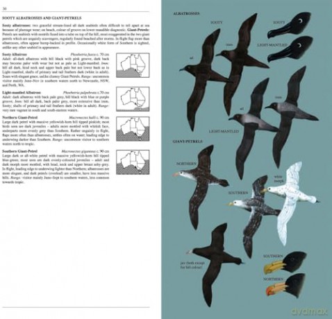 Slater Field Guide to Australian Birds: Third edition - Peter Slater [KSIĄŻKA]