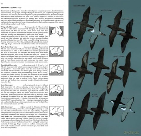 Slater Field Guide to Australian Birds: Third edition - Peter Slater [KSIĄŻKA]