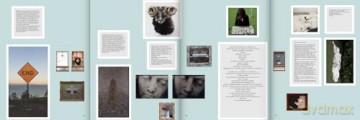 Sophie Calle: Overshare - Henriette Huldisch [KSIĄŻKA]