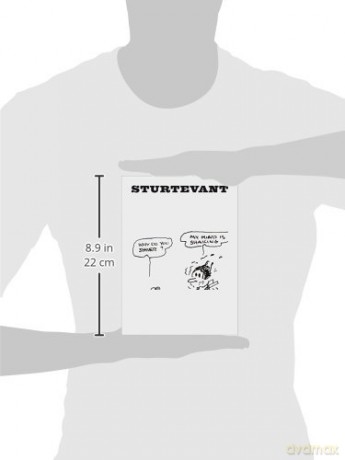 Sturtevant: Drawing Double Reversal - Elaine Sturtevant [KSIĄŻKA]