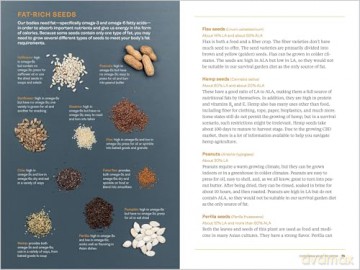 Survival Gardening: Grow Your Own Emergency Food Supply, from Seed to Root Cellar - Sam Coffman [KSIĄŻKA]
