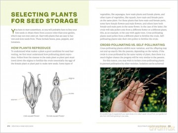 Survival Gardening: Grow Your Own Emergency Food Supply, from Seed to Root Cellar - Sam Coffman [KSIĄŻKA]