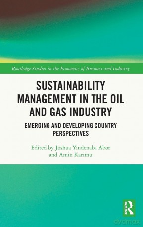 Sustainability Management in the Oil and Gas Industry: Emerging and Developing Country Perspectives (Routledge Studies in the Economics of Business and Industry) - Joshua Yindenaba Abor [KSIĄŻKA]