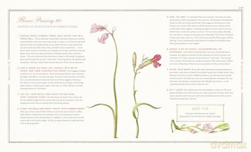 Syme's Letter Writer: A Guide to Modern Correspondence About (Almost) Every Imaginable Subject of Daily Life, with Odes to Desktop Ephemera and Selected Letters of Famous Writers - Rachel Syme [KSIĄŻKA]