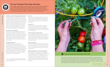 The 10-Minute Gardener: How to Have a Veggie Garden and a Life-85 Time-Saving Tactics to Be More Efficient and Grow More Food in Less Time - CaliKim [KSIĄŻKA]