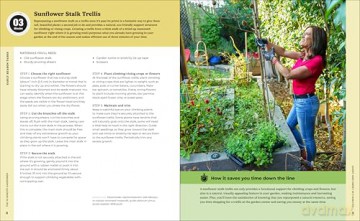 The 10-Minute Gardener: How to Have a Veggie Garden and a Life-85 Time-Saving Tactics to Be More Efficient and Grow More Food in Less Time - CaliKim [KSIĄŻKA]