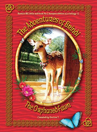 The Adventures of Brindi - The Orphaned Fawn - Anthony John Holt [KSIĄŻKA]