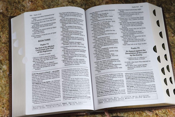 The Amplified Study Bible, Leathersoft, Brown, Thumb Indexed: Amplified Study Bible, Brown, Imitation Leather, Ribbon Marker, Large Print - Zondervan [KSIĄŻKA]