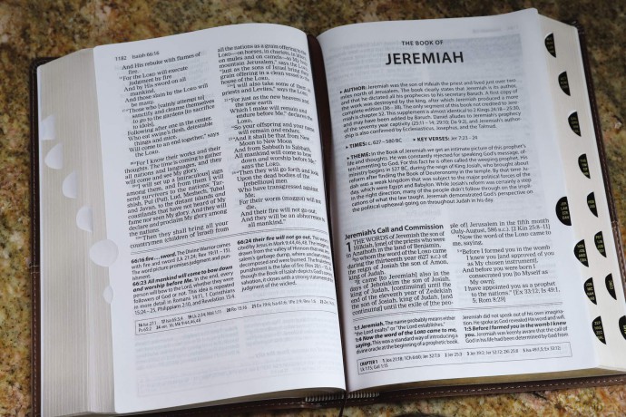 The Amplified Study Bible, Leathersoft, Brown, Thumb Indexed: Amplified Study Bible, Brown, Imitation Leather, Ribbon Marker, Large Print - Zondervan [KSIĄŻKA]