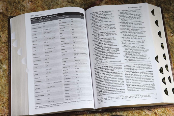 The Amplified Study Bible, Leathersoft, Brown, Thumb Indexed: Amplified Study Bible, Brown, Imitation Leather, Ribbon Marker, Large Print - Zondervan [KSIĄŻKA]