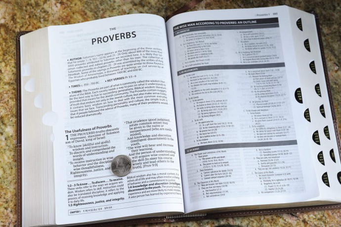 The Amplified Study Bible, Leathersoft, Brown, Thumb Indexed: Amplified Study Bible, Brown, Imitation Leather, Ribbon Marker, Large Print - Zondervan [KSIĄŻKA]