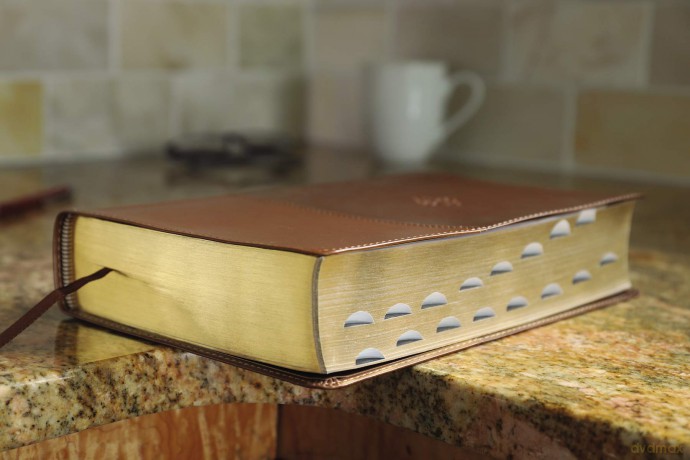 The Amplified Study Bible, Leathersoft, Brown, Thumb Indexed: Amplified Study Bible, Brown, Imitation Leather, Ribbon Marker, Large Print - Zondervan [KSIĄŻKA]