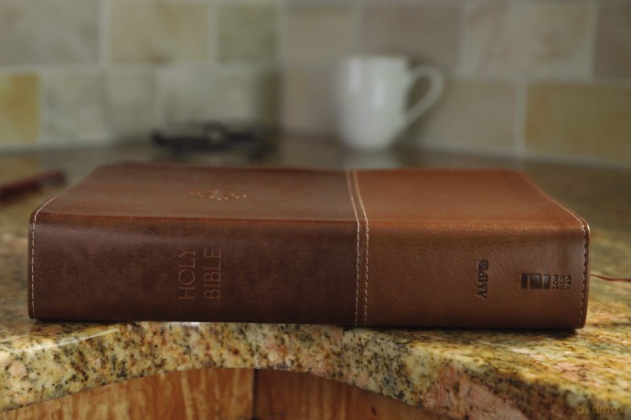 The Amplified Study Bible, Leathersoft, Brown, Thumb Indexed: Amplified Study Bible, Brown, Imitation Leather, Ribbon Marker, Large Print - Zondervan [KSIĄŻKA]