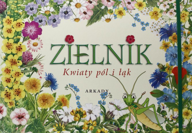 Kwiaty Pól I Łąk Zielnik Tw [KSIĄŻKA]