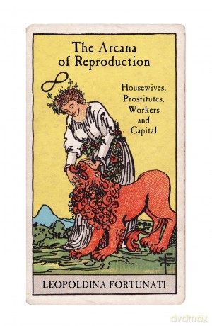 The Arcana of Reproduction: housewives, prostitutes, workers and capital - Leopoldina Fortunati [KSIĄŻKA]