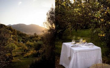 The Artful Way to Plant-Based Cooking: Nourishing Recipes and Heartfelt Moments (A Cookbook) - Chloé Crane-Leroux [KSIĄŻKA]