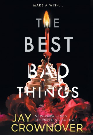 The Best Bad Things: A Point Companion Novel - Jay Crownover [KSIĄŻKA]