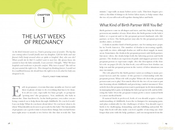 The Birth Partner, Sixth Revised Edition: A Complete Guide to Childbirth for Dads, Partners, Doulas, and Other Labor Companions - Penny Simkin [KSIĄŻKA]