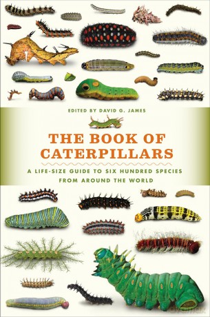 The Book of Caterpillars: A Life-Size Guide to Six Hundred Species from around the World - David G. James [KSIĄŻKA]