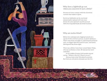 The Book of Whys - Gianni Rodari [KSIĄŻKA]
