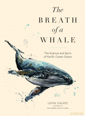 The Breath of a Whale: The Science and Spirit of Pacific Ocean Giants - Leigh Calvez [KSIĄŻKA]