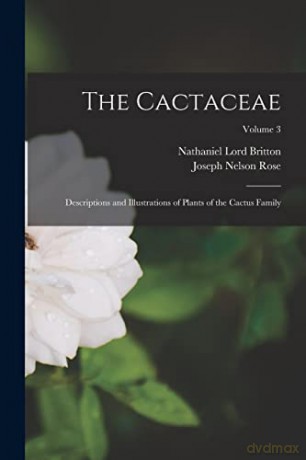 The Cactaceae: Descriptions and Illustrations of Plants of the Cactus Family; Volume 3 - Nathaniel Lord Britton [KSIĄŻKA]