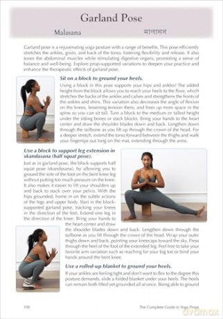 The Complete Guide to Yoga Props - Jennifer Clise [KSIĄŻKA]