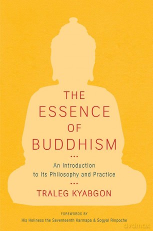 The Essence of Buddhism: An Introduction to Its Philosophy and Practice (Shambhala Dragon Editions) - Traleg Kyabgon [KSIĄŻKA]